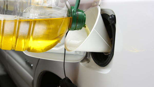 vegetable oil in diesel engine