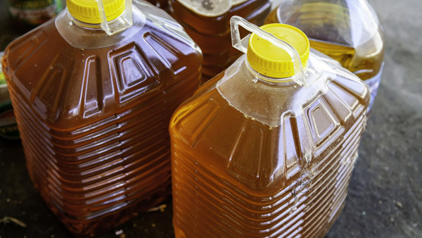 vegetable oil in diesel engine