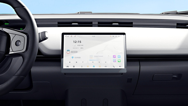 Chery little ant display