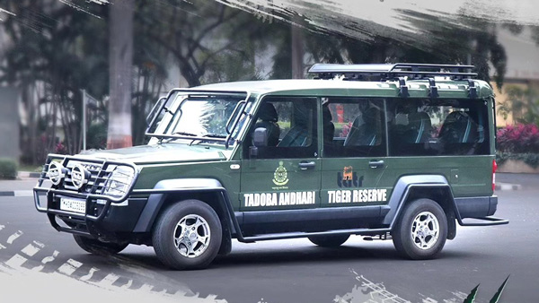 Force trax cruiser jungle safari