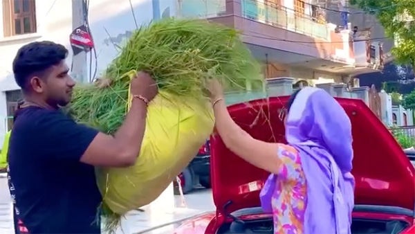 Women farmer used porsche boxster to carry fodder