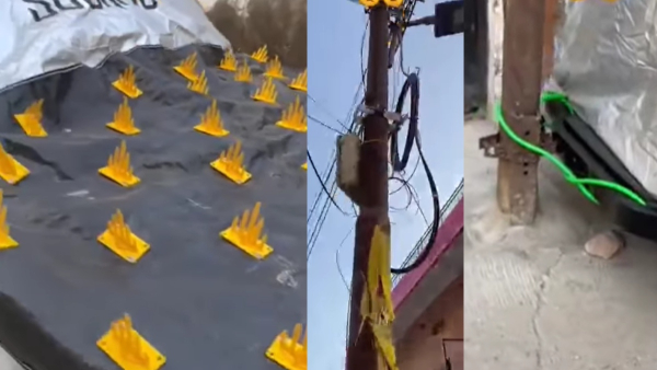 Scorpio tied in electric pole