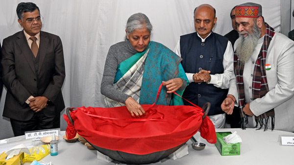 budget 2024 expectations