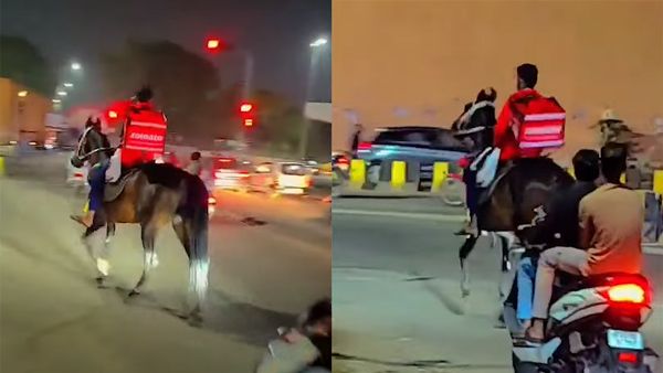 Zomato Agent Rides Horse To Deliver Order In Hyderabad