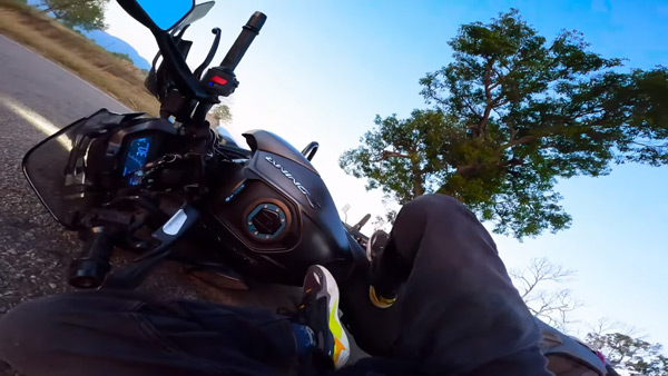 cow crashed into dominar 400