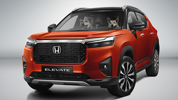 honda elevate pet edition
