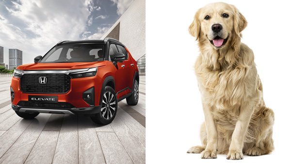honda elevate pet edition