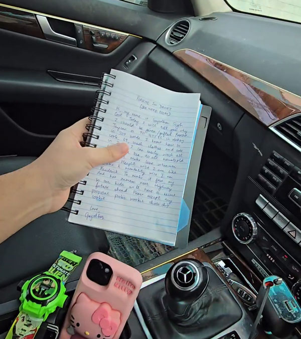 driver intentionally drives at top-speed