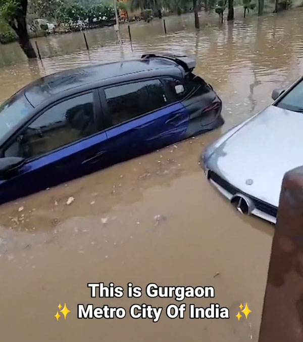 cars submerged in rain water