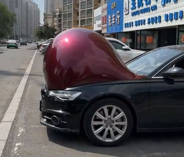 China pregnant cars