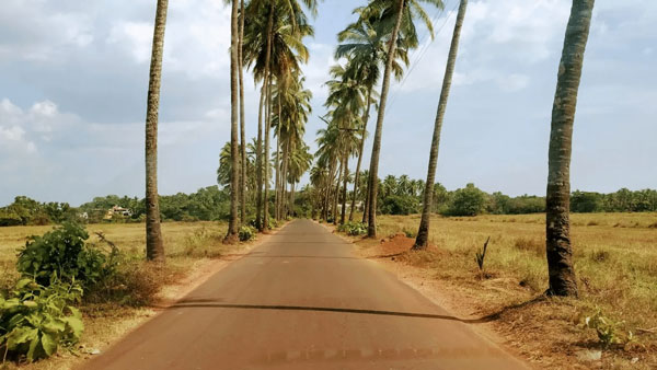 iconic roads to explore india