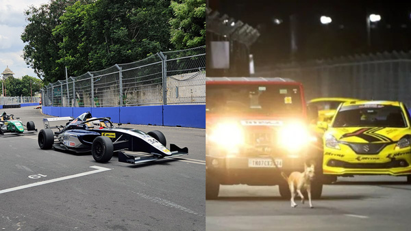 Dog Enters Chennai Formula 4 Race Track