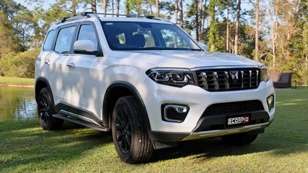 matthew hayden transformed his scorpio-n