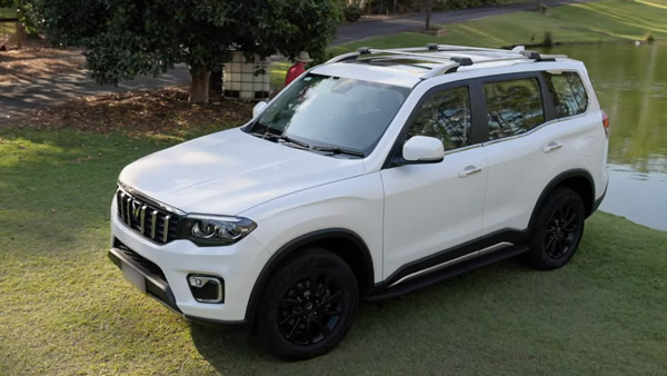 matthew hayden transformed his scorpio-n