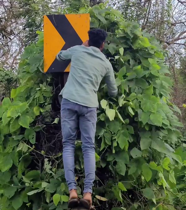 kerala man cleaning sign boards kerala man cleaning sign boards