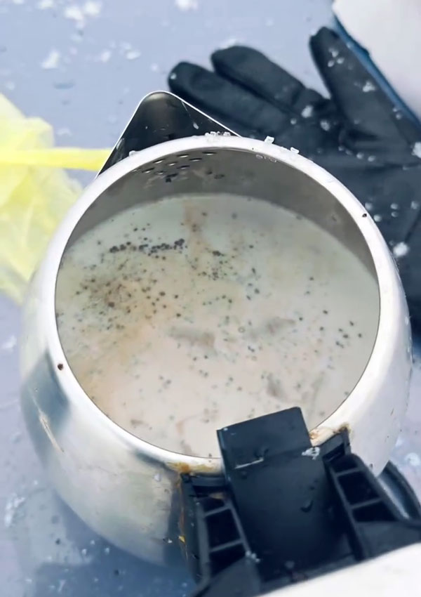 tata curvv ev driver makes tea