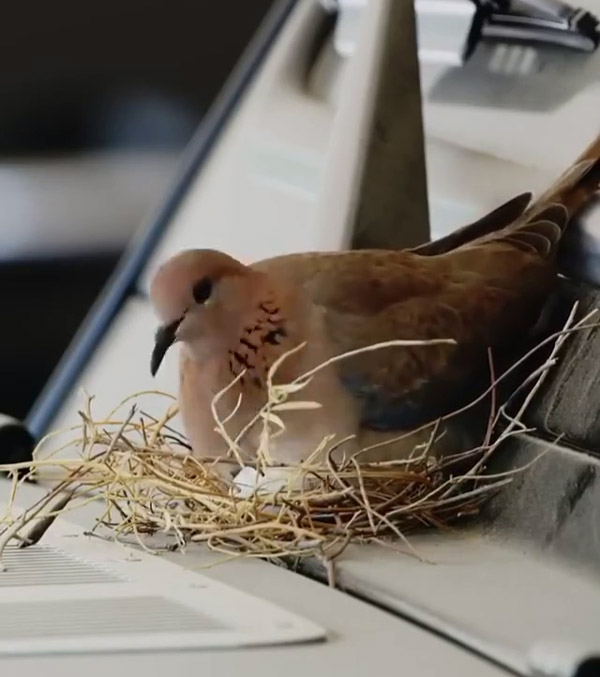 dubai prince left his mercedes-amg