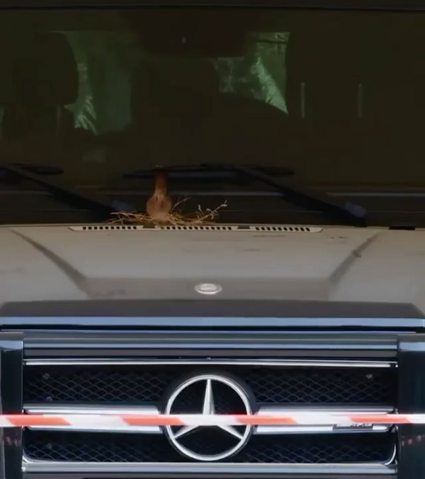 dubai prince left his mercedes-amg