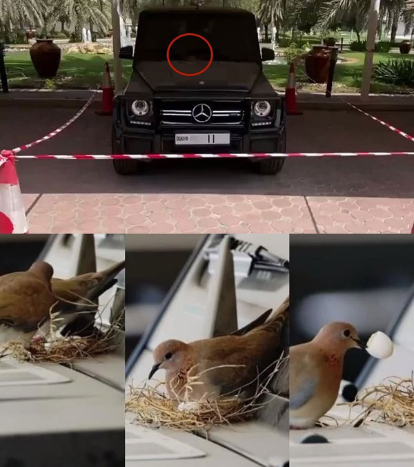 dubai prince left his mercedes-amg