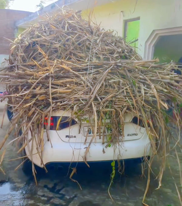 audi a4 used for fodder