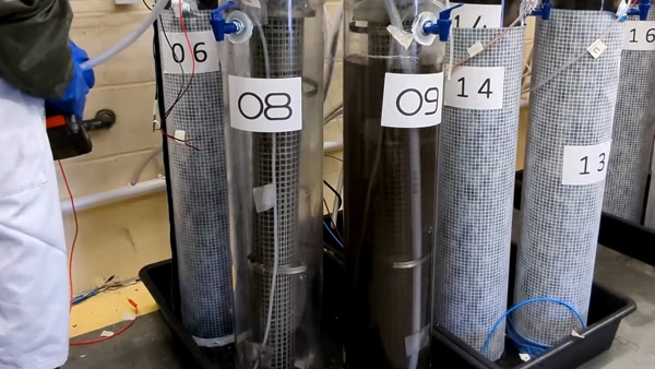 Hydrogen producing plant