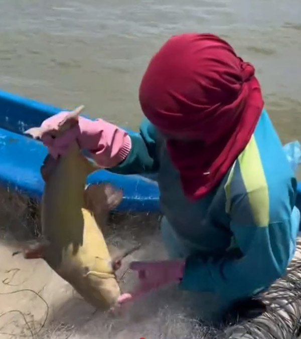 Fisherman buys dream mercedes-benz