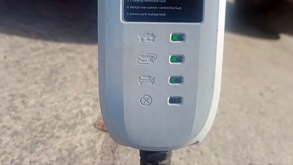 rescued by curvv ev owner