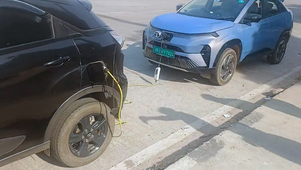 rescued by curvv ev owner