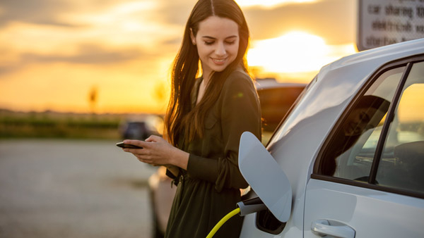 EV in Income tax Return