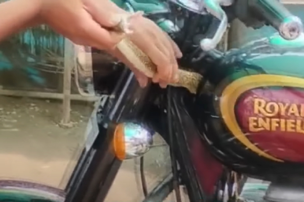 snake under bike fuel tank snake under bike fuel tank