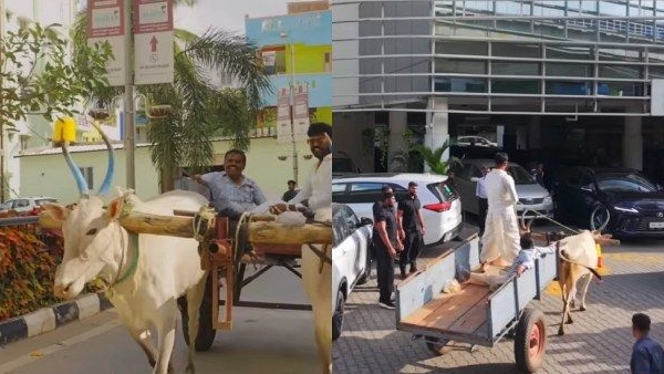 Toyota Vellfire Delivery