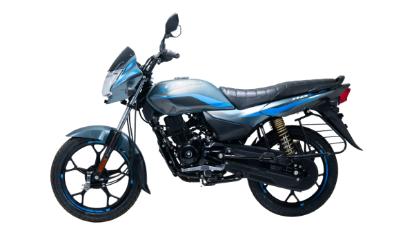 Bajaj Platina 110