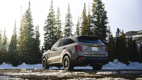Kia Sorento Rear Profile