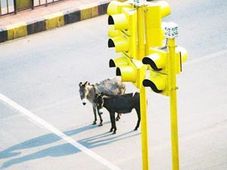 మీరు రూల్స్ పాటించకపోయినా.. మేము పాటిస్తాం..!