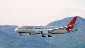 చీమలే కదా అనుకోకండి.. ప్రయాణానికి సిద్దమైన విమానాన్ని రద్దు చేసాయ్ 