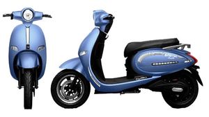 e-Ashwa నుండి 12 ఎలక్ట్రిక్ ద్విచక్ర వాహనాలు, 8 ఇ-ఆటోల విడుదల