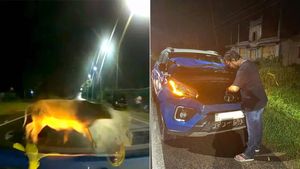 70 కి.మీ వేగంతో ఎద్దును ఢీకొట్టిన టాటా నెక్సాన్‌.. డ్యాష్‌ బోర్డు కెమెరాలో రికార్డయిన యాక్సిడెంట్‌ విజువల్స్‌