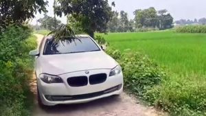 BMW కారుపై పశువుల మేత రవాణా.. వీడియో వైరల్‌ 