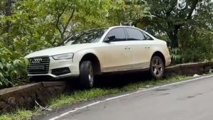 అయ్యయ్యో ఇలా జరిగిందేంటి!.. గోడెక్కిన ఆడి - వైరల్ వీడియో