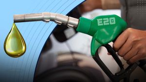 బయోఫ్యూయల్స్ పై అపోహలు, వాస్తవాలు.. ప్రభుత్వం ఏం చెప్పిందంటే ?  