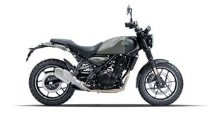 ఓ మై గాడ్! రాయల్ ఎన్‌ఫీల్డ్ కొత్త బైక్ కలర్ ఆప్షన్ చూస్తేనే మనసు దోచేస్తుంది! షాడో యాష్ ఎడిషన్ లాంచ్ 