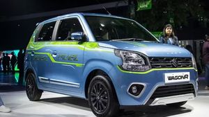  ఈ కారుకు పెట్రోల్ అవసరం లేదు.. ఎక్కువ మైలేజ్ ఇచ్చే కారు తీసుకొస్తున్న మారుతి.. మార్కెట్లో సునామీ ఖాయం 