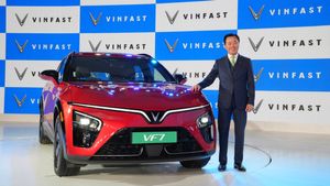 ఈ కారు ఉంటే పెట్రోల్ బంకుల వైపు అసలే చూడరు.. 532 కి.మీ రేంజ్‌తో విన్‌ఫాస్ట్ VF7 లాంచ్ 