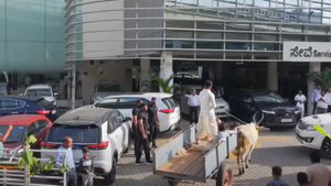 ఎద్దుల బండిపై షోరూమ్‌కి వచ్చిన రైతు.. అతను చేసిన పనికి అందరూ షాక్.. మాములోడు కాదు బాబోయ్ 