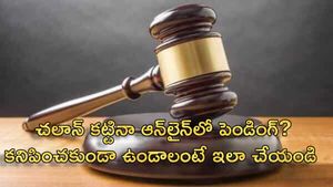 లోక్ అదాలత్‌లో చలాన్ కట్టినా ఆన్‌లైన్‌లో పెండింగ్‌? జరిమానా కనిపించకుండా ఉండాలంటే ఇలా చేయండి  