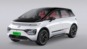 టాటాకు నిద్రపట్టకుండా చేసిన కారు.. ఇన్‌స్పైర్ ఎడిషన్ రిలీజ్.. కేవలం 300మందికే ఛాన్స్.. ధర కూడా తక్కువే