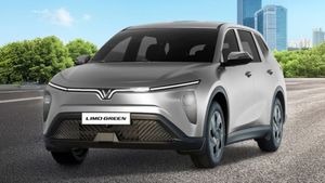 భారత్‌లోకి ఆఫ్రికన్ ఏనుగు సైజు కార్..కియా కారెన్స్‌కు గట్టి పోటీ ఇవ్వనున్న విన్‌ఫాస్ట్ లిమో గ్రీన్ 