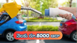 రోజూ డ్రైవ్ చేసినా రూ.8000 సేవింగ్ ఖాయం? EV vs Petrol లో ఏది బెస్ట్?