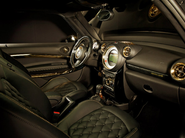 ఎగ్జోటిక్ మినీ లైఫ్ బాల్‌ను డిజైన్ చేసిన రాబెర్టో కవాల్లీ