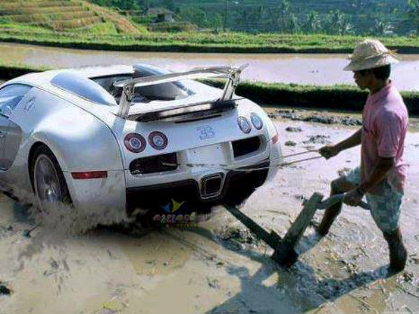 Funny Automobile Pictures